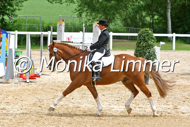 006M4701_Dressur L_e.JPG